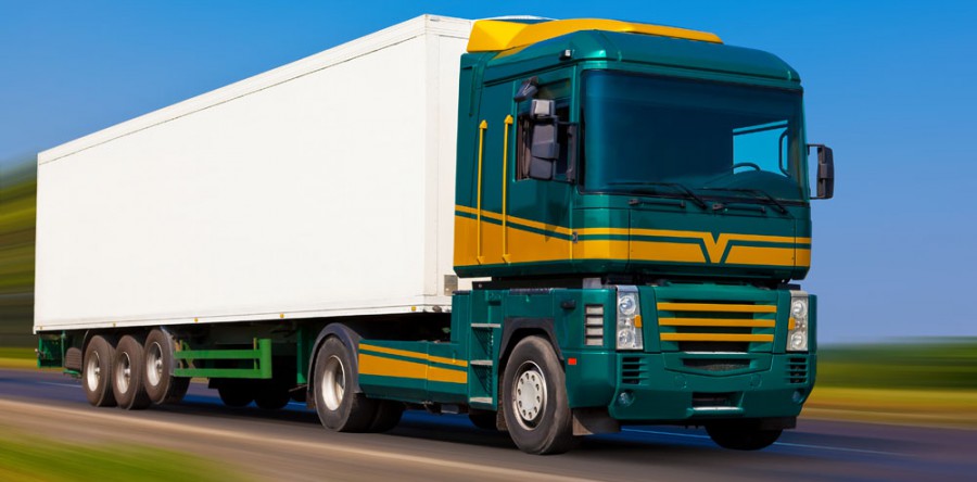 Vivamus vel sem at